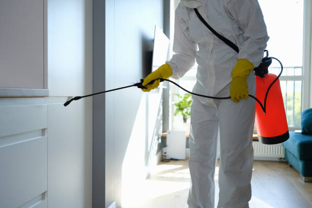 Mold Testing and Removal in Bottineau, ND