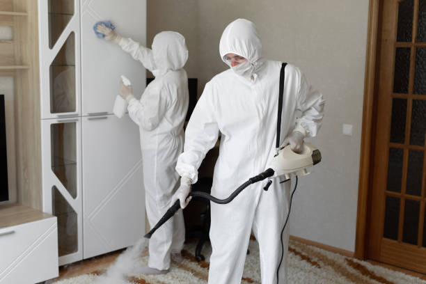 Best Mold Damage Repair  in Bottineau, ND