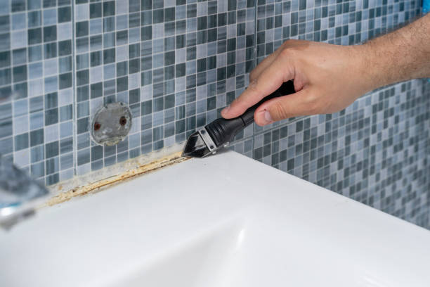 Best Residential Mold Removal  in Bottineau, ND