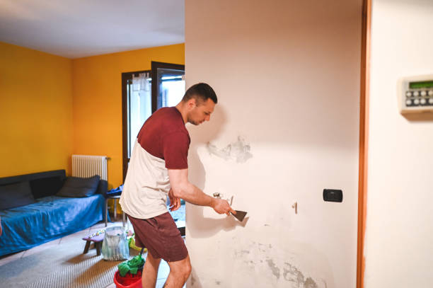 Best Certified Mold Removal  in Bottineau, ND
